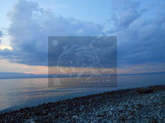 DSCN0536