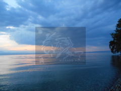 DSCN0540