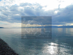 DSCN0633