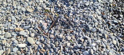 IMG-20240624-WA0040